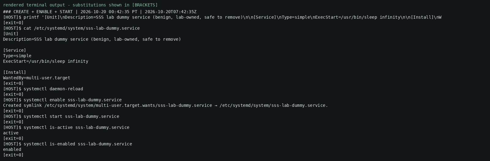 Rendered terminal output (redacted) — create, enable and start the harmless dummy service.