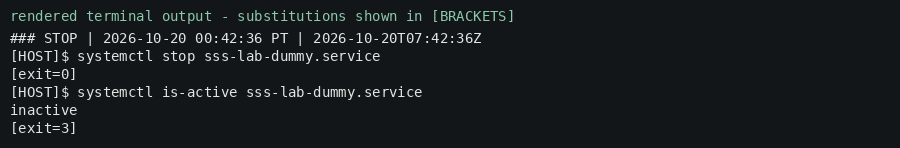 Rendered terminal output (redacted) — stop the dummy service (now inactive).