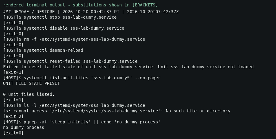 Rendered terminal output (redacted) — disable and remove the unit; no dummy process remains.