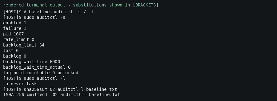 Rendered terminal output (redacted) — baseline audit rules, including the default never,task rule.