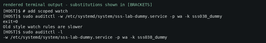 Rendered terminal output (redacted) — adding the file-watch on the unit path.
