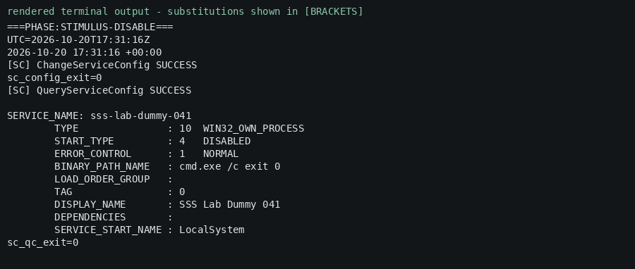 Rendered terminal output — disable the dummy service succeeded.